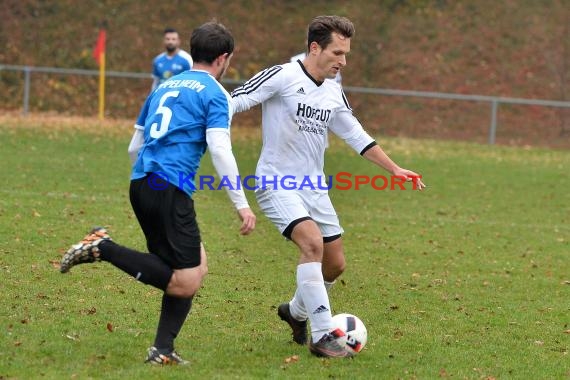 Landesliga Rhein Neckar TSV Michelfeld vs ASV/DJK Eppelheim  (© Siegfried)